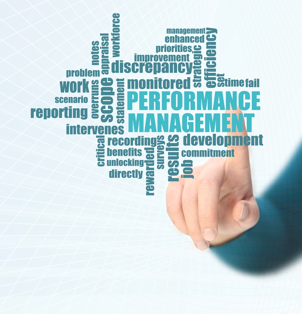Dissertation on performance management system